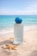 Midnight light fragrance